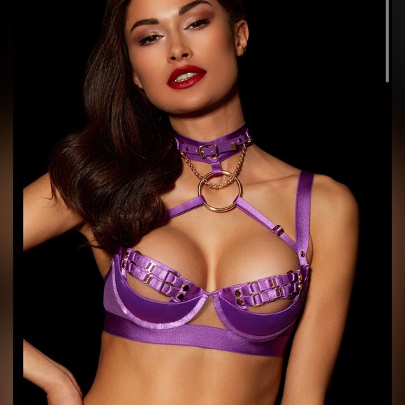 HONEY BIRDETTE JASMIN AMETHYST SET. Bra 32DD/E, Thong XS, Suspender S - Picture 2 of 16